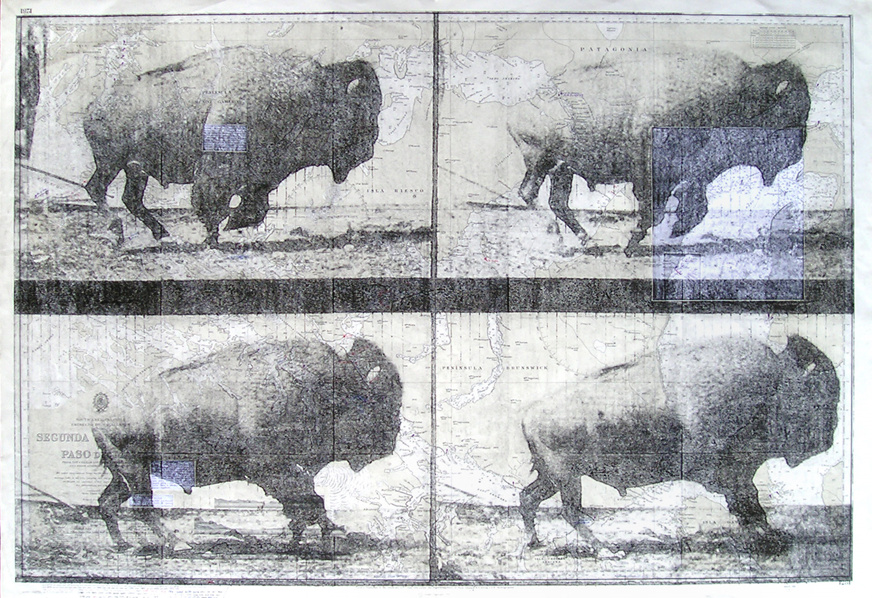Buffalo Sequence