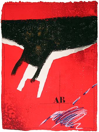 James Coignard, Chute Sur Rouge
