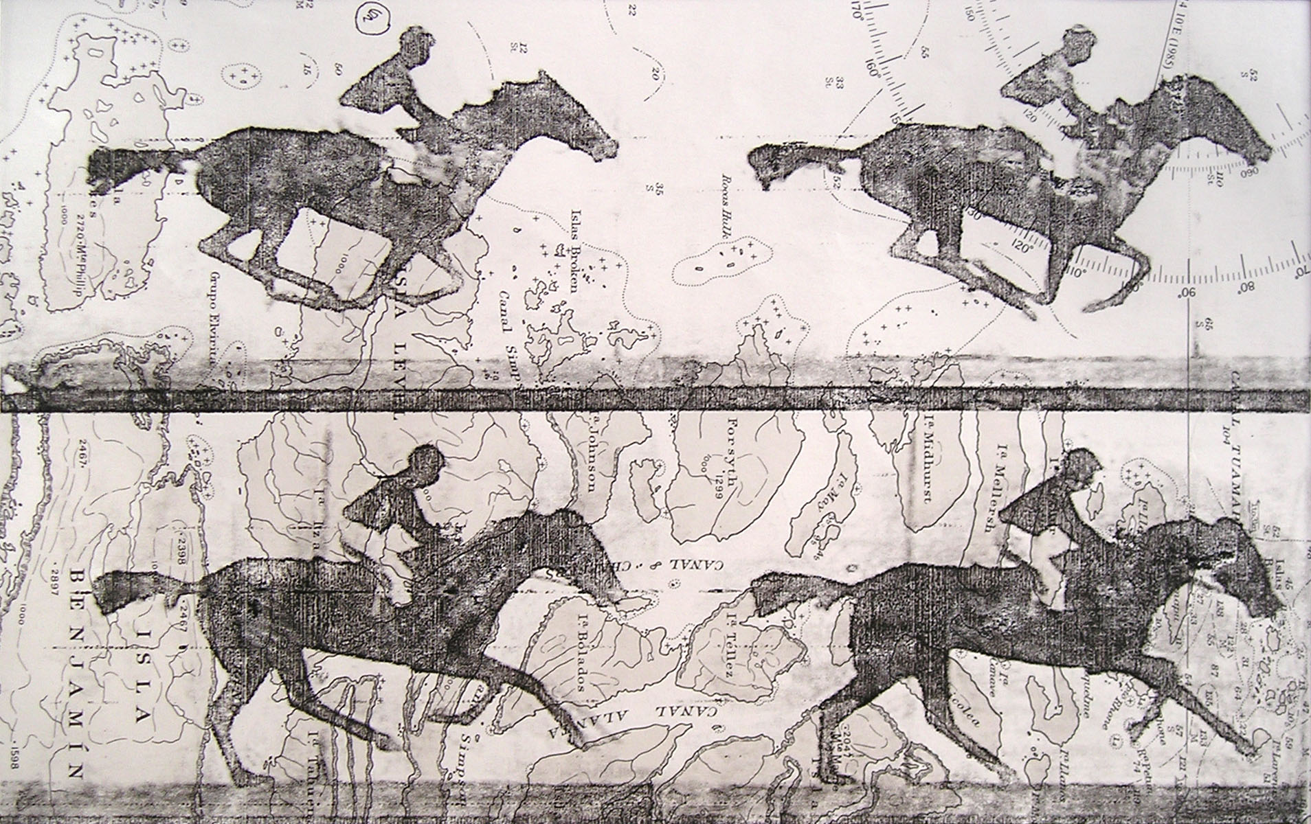 Equine Sequence